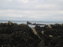 IMG_3723