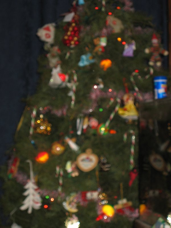 IMG_3742.JPG