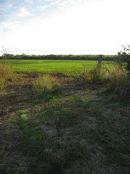 IMG_6521
