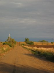 IMG_6530