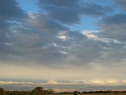 IMG_6533
