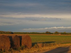 IMG_6536