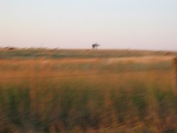 IMG_6542