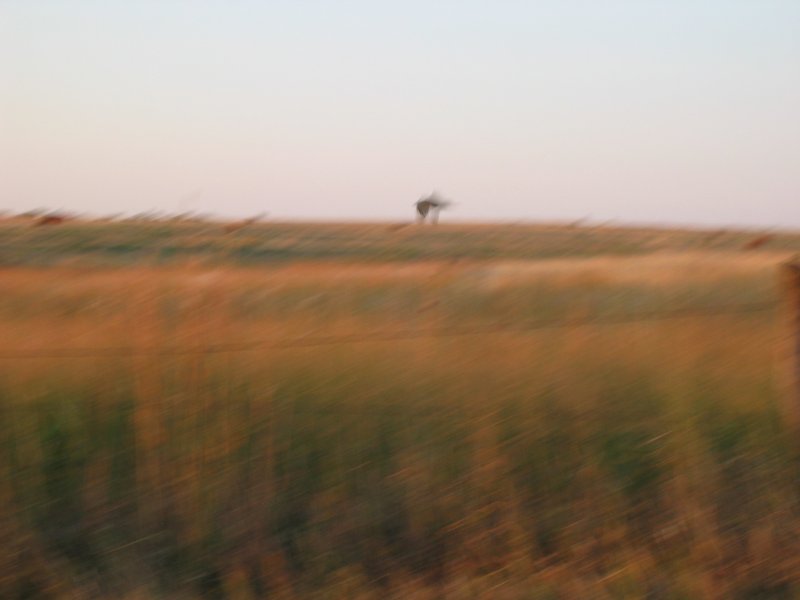 IMG_6542.JPG