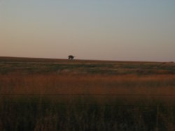 IMG_6543