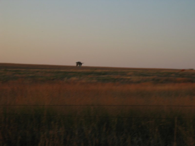 IMG_6543.JPG