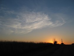 IMG_6546