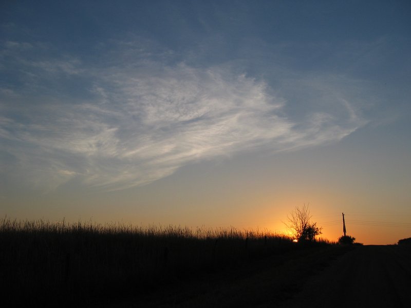 IMG_6546.JPG