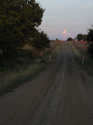 IMG_6547