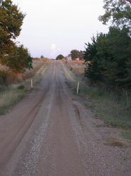 IMG_6548