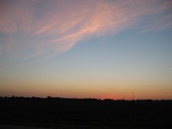IMG_6550