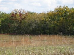 IMG_6554