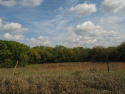IMG_6555