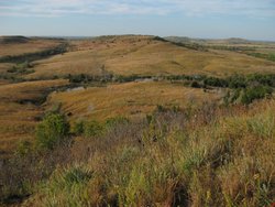 IMG_6558