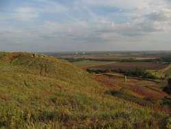 IMG_6573