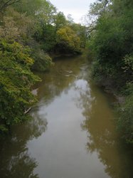 IMG_6585