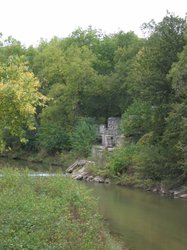 IMG_6590