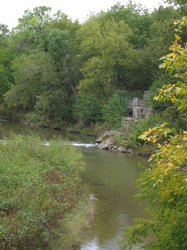 IMG_6594