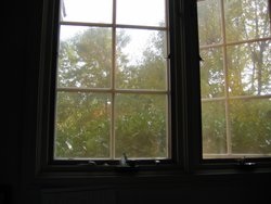 IMG_6635