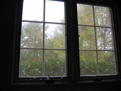 IMG_6637