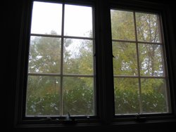 IMG_6639
