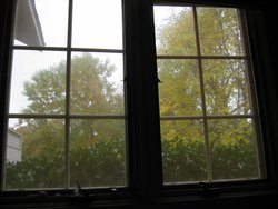 IMG_6644