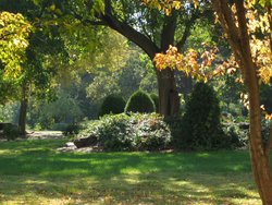 IMG_6649