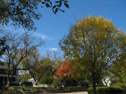 IMG_6658
