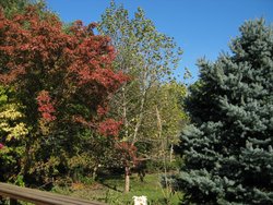 IMG_6672