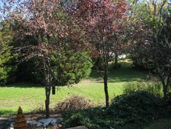 IMG_6674