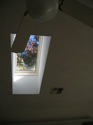 IMG_6683