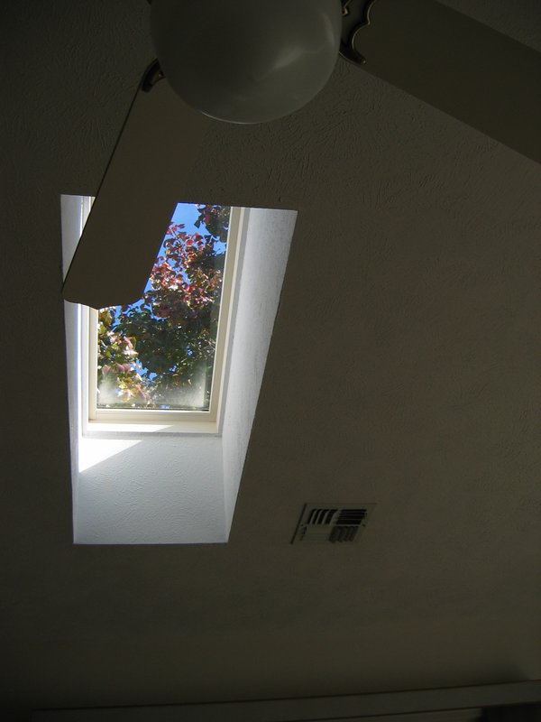 IMG_6683.JPG
