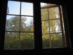 IMG_6723