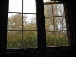 IMG_6725