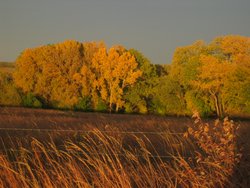 IMG_6728