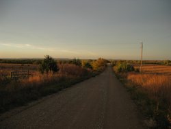 IMG_6732