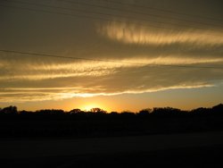 IMG_6733
