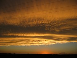 IMG_6738
