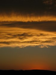 IMG_6739