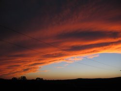 IMG_6745