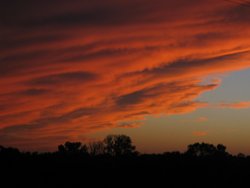 IMG_6746