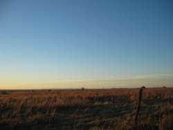 IMG_6752