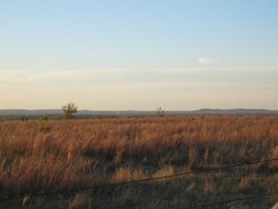 IMG_6753