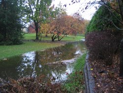 IMG_6756