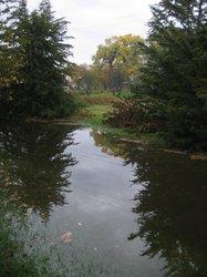 IMG_6762