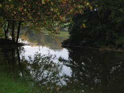 IMG_6763