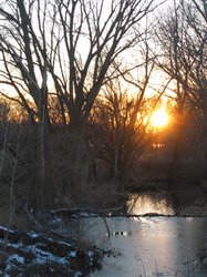 IMG_7054