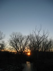 IMG_7055