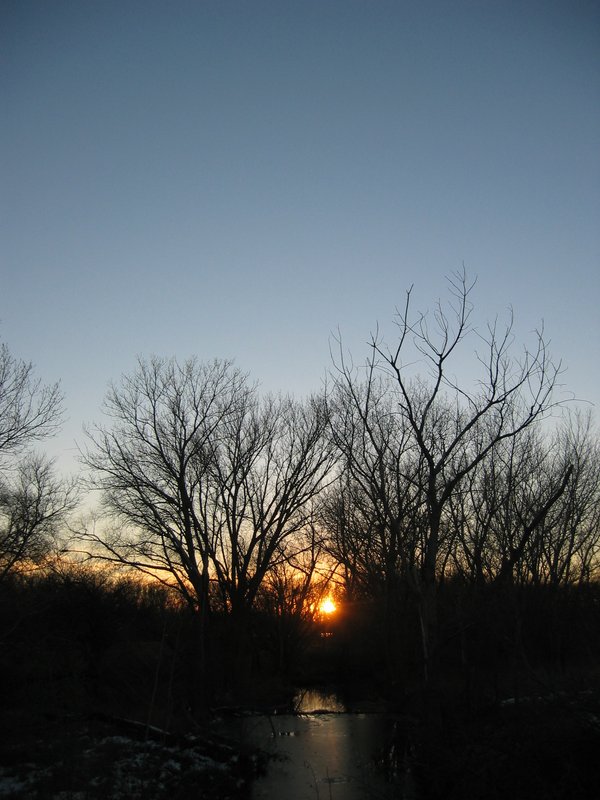 IMG_7055.JPG