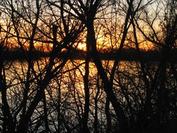 IMG_7057